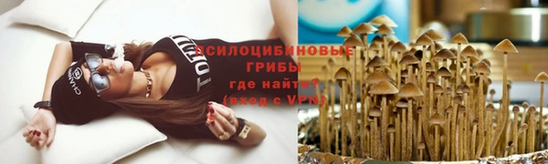 2c-b Верхнеуральск