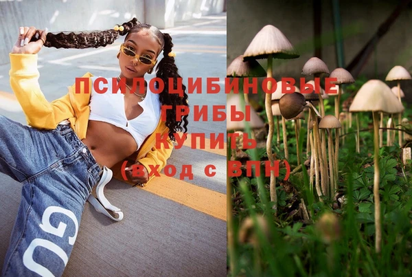 прущие крисы Новодвинск